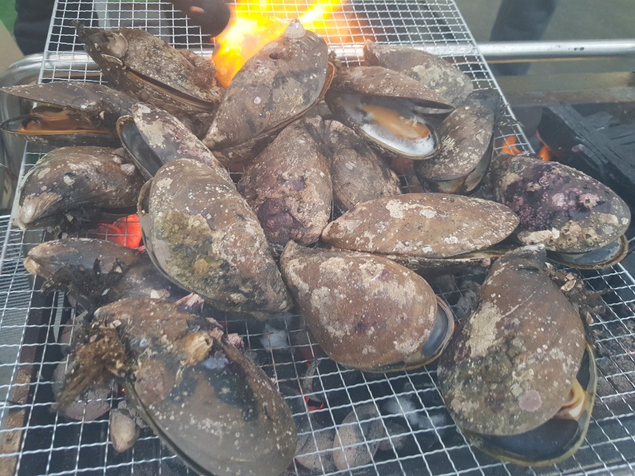 양양 칸다이브_휴휴암 먼곳 어초