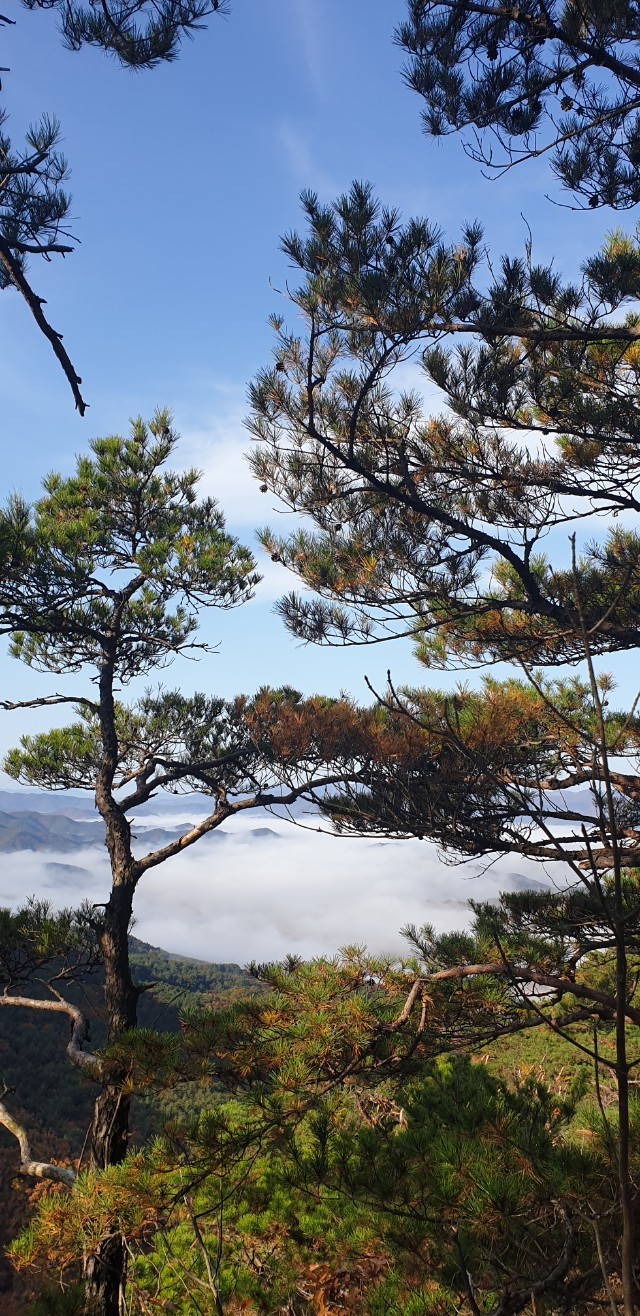 양양 칸다이브_얕은짬