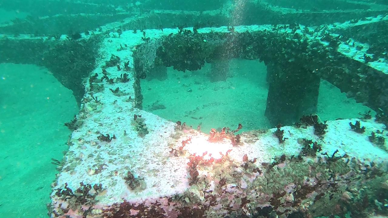 양양 칸다이브_휴휴암 먼곳 어초