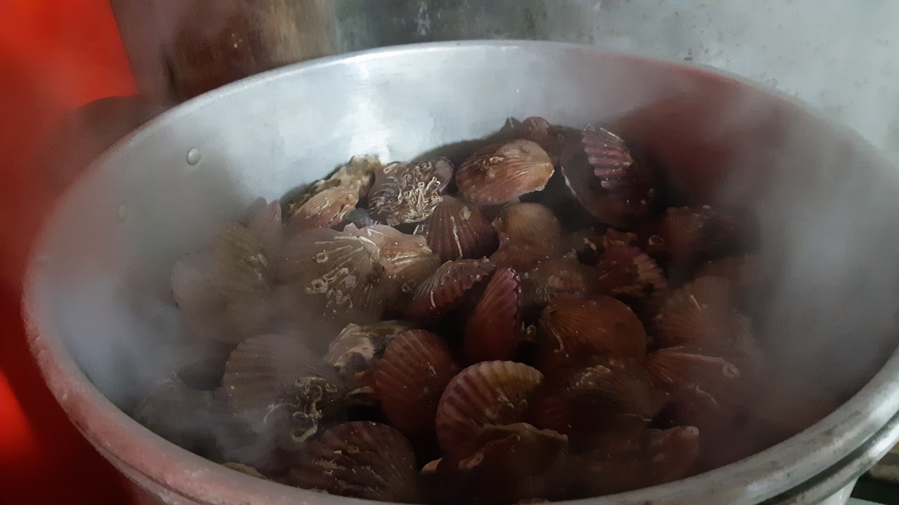 양양 칸다이브_A2