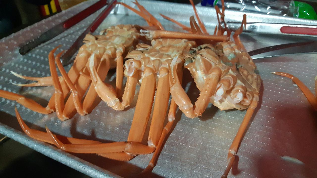 양양 칸다이브 _ 통발