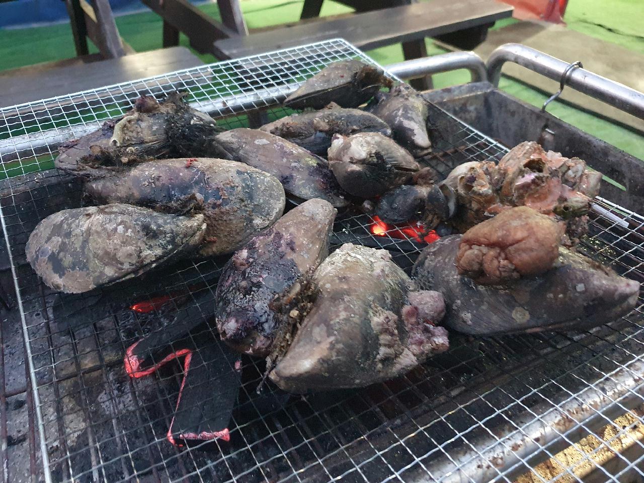 양양 칸다이브 _ 사각어초