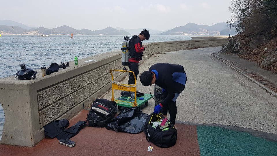 경상대학교 해양식물자원학 연구실 해호말 생태조사