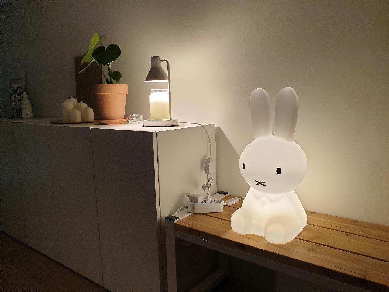 새로운 보금자리 꾸미기 중