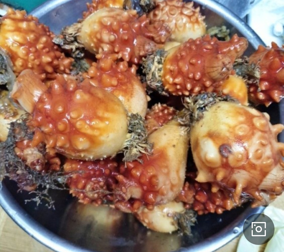 멍게