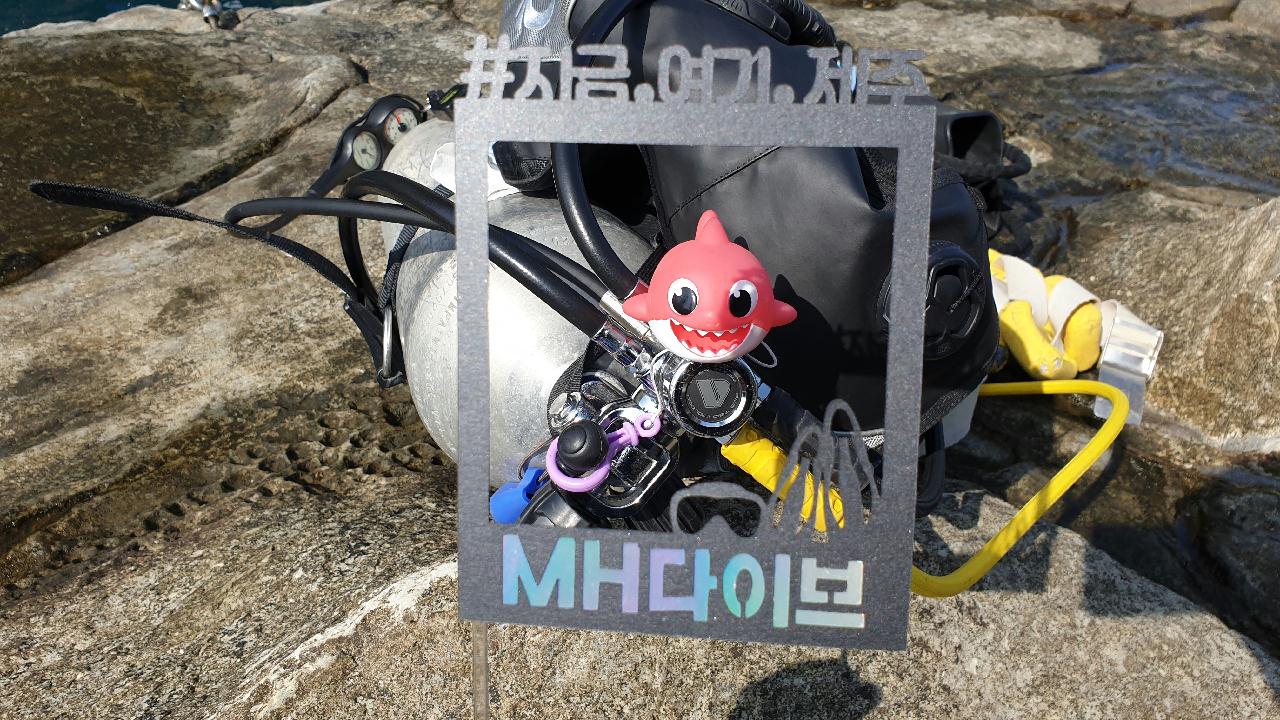 문섬 새끼섬 다이빙