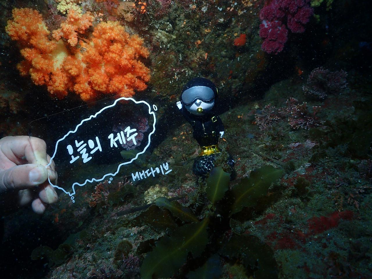 문섬 새끼섬 다이빙