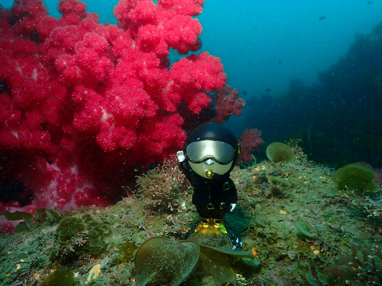 다이빙 미니어처 활용