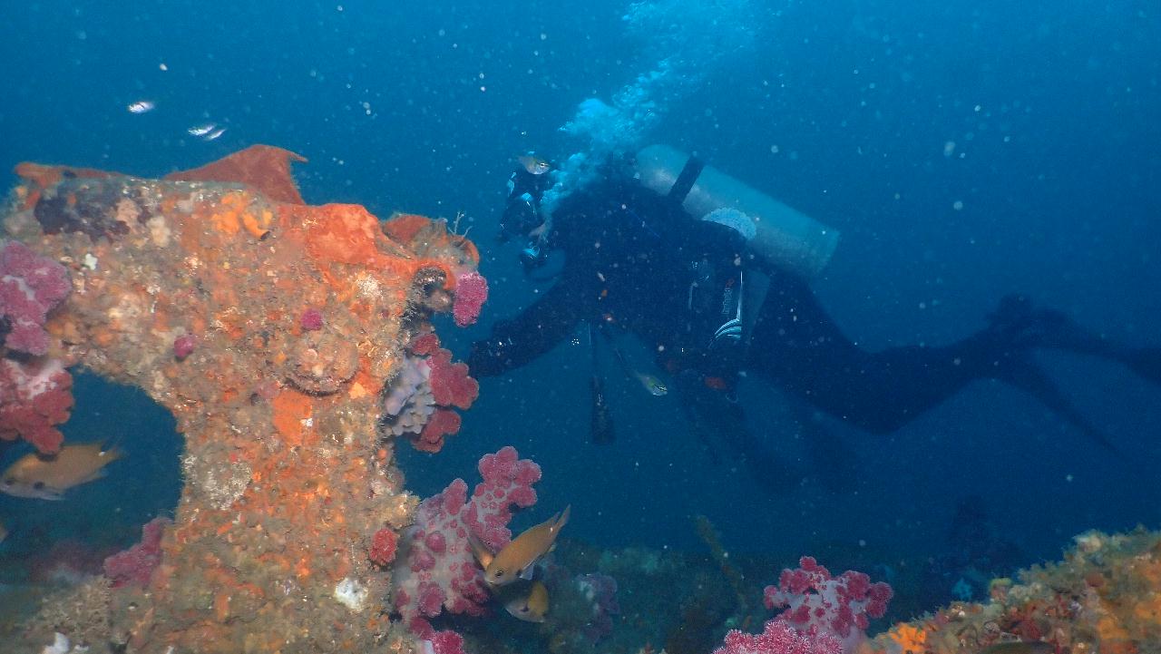 제주도 서귀포 난파선 포인트