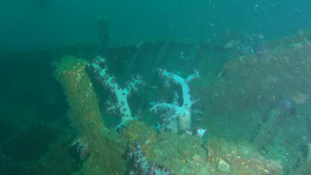 제주도 서귀포 난파선 포인트