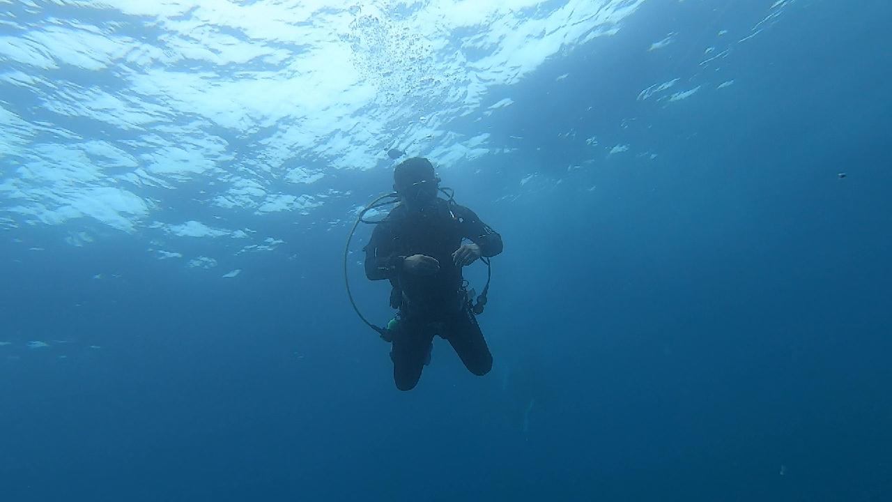 경북 울진 왕돌초 - 새짬