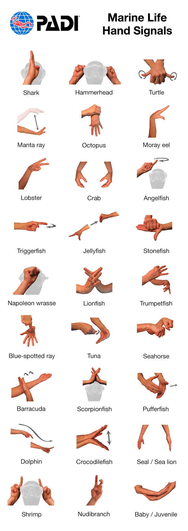 해양생물 수신호(Marine Life Hand Signals)