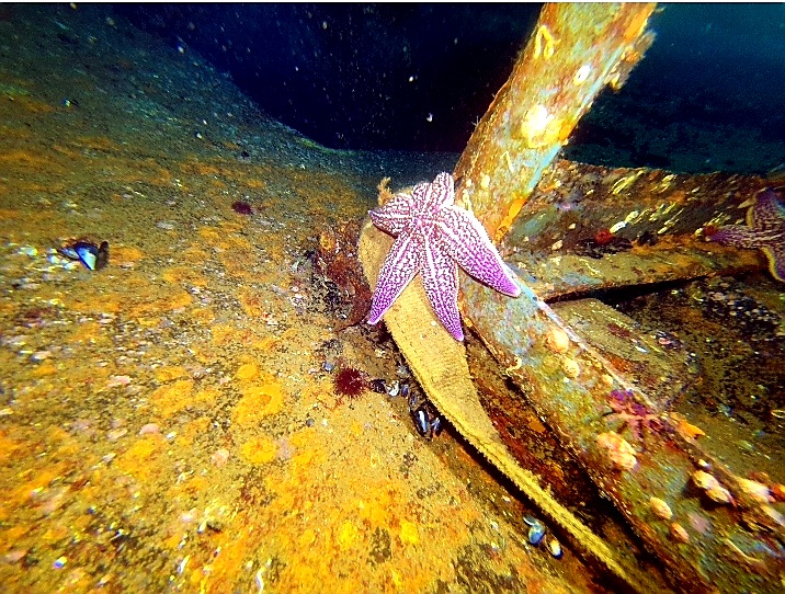 2차 스텔라호 내부 탐사