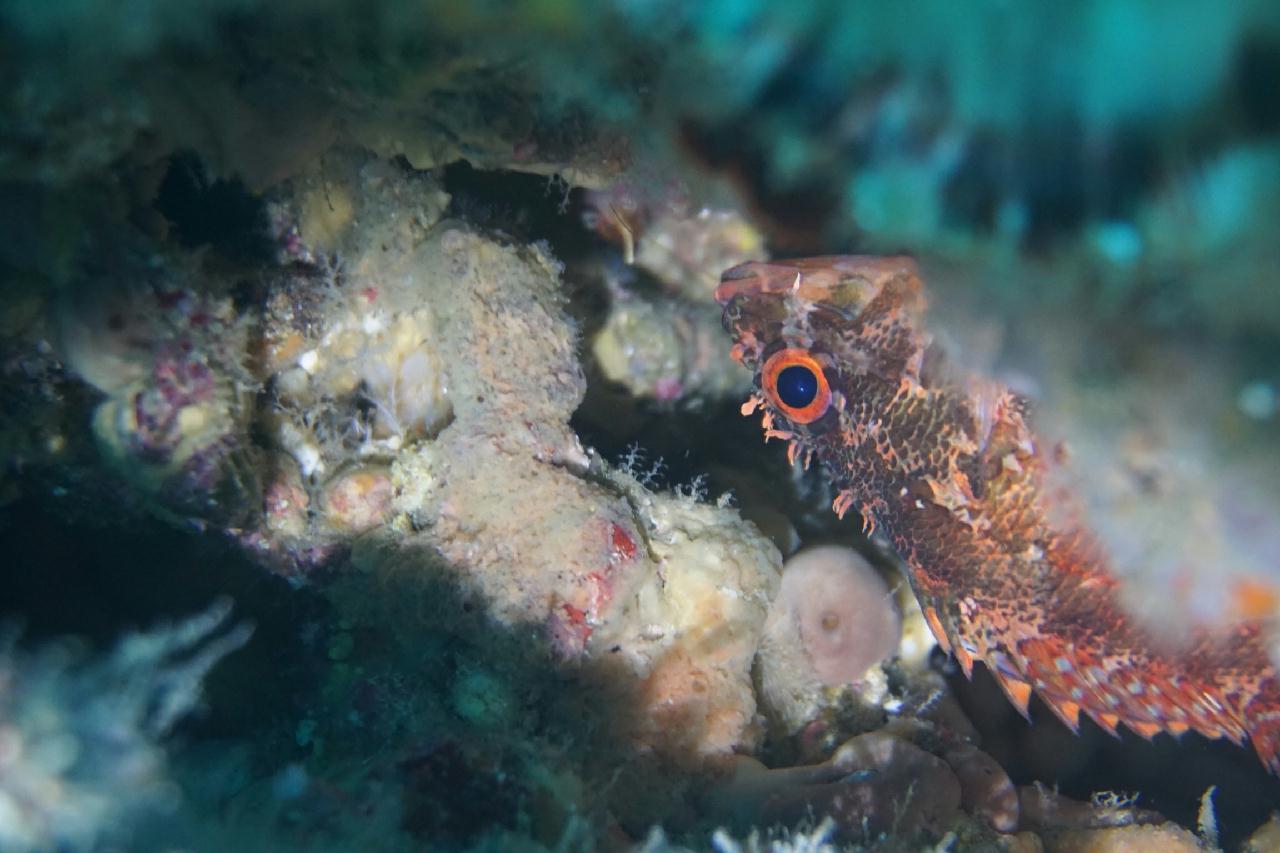 제주도 성산 - 섬여