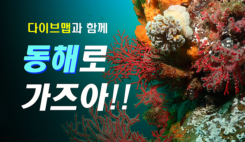 [2021.09.18(토)~09.22(수)] 추석연휴 강원도 구석구석 스쿠버 다이빙 투어