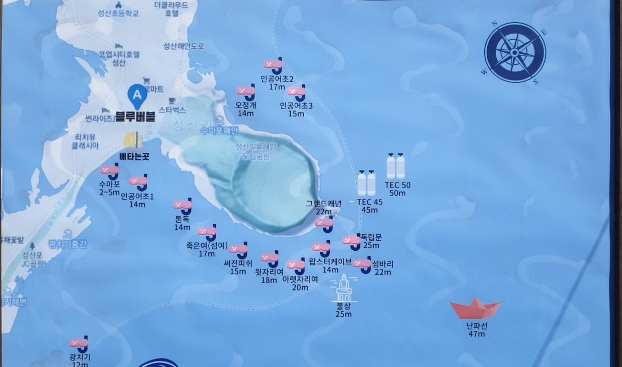 성산 다이빙 - 죽은여(섬여)