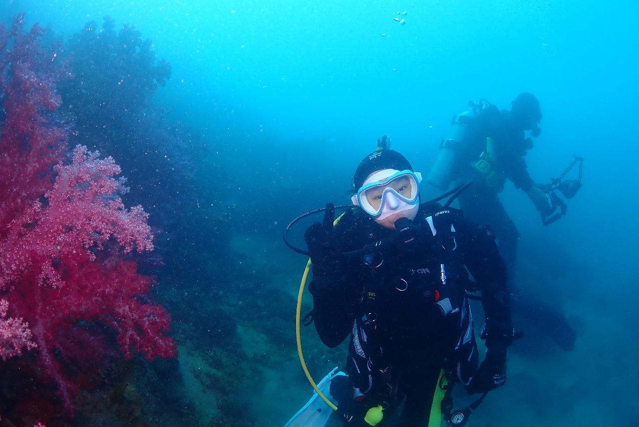 드라이 슈트 실습을 겸한 펀다이빙