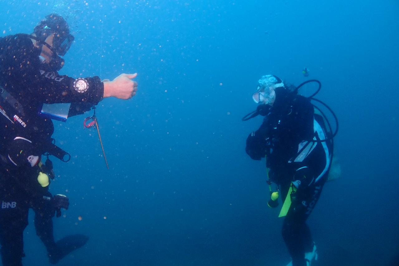 드라이 슈트 실습을 겸한 펀다이빙