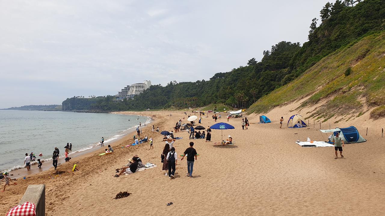 오늘 중문 상황