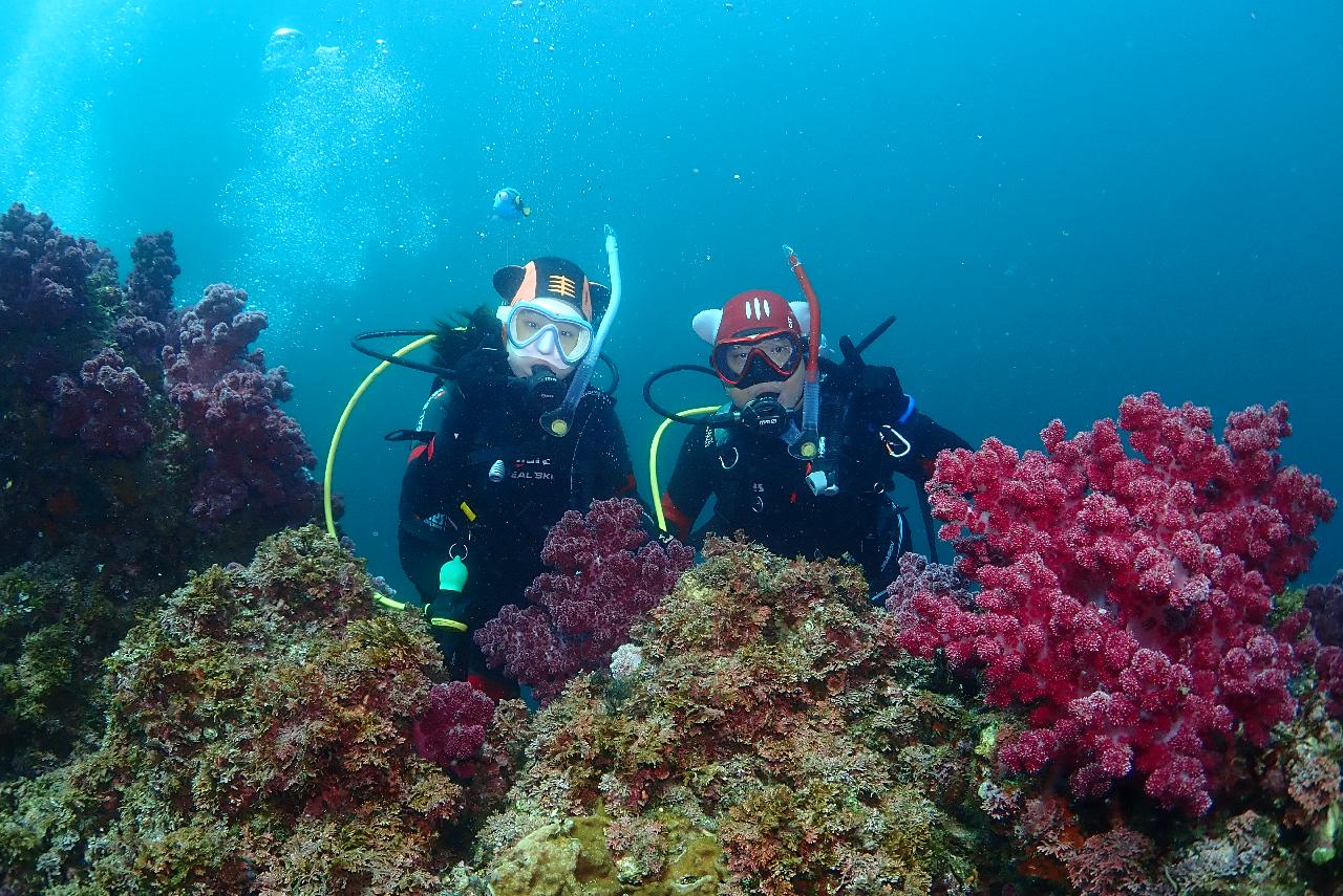 스쿠버 다이빙 교육 및 펀다이빙 참여하신 분께 1단계 부력인형 악세사리를 드립니다.
