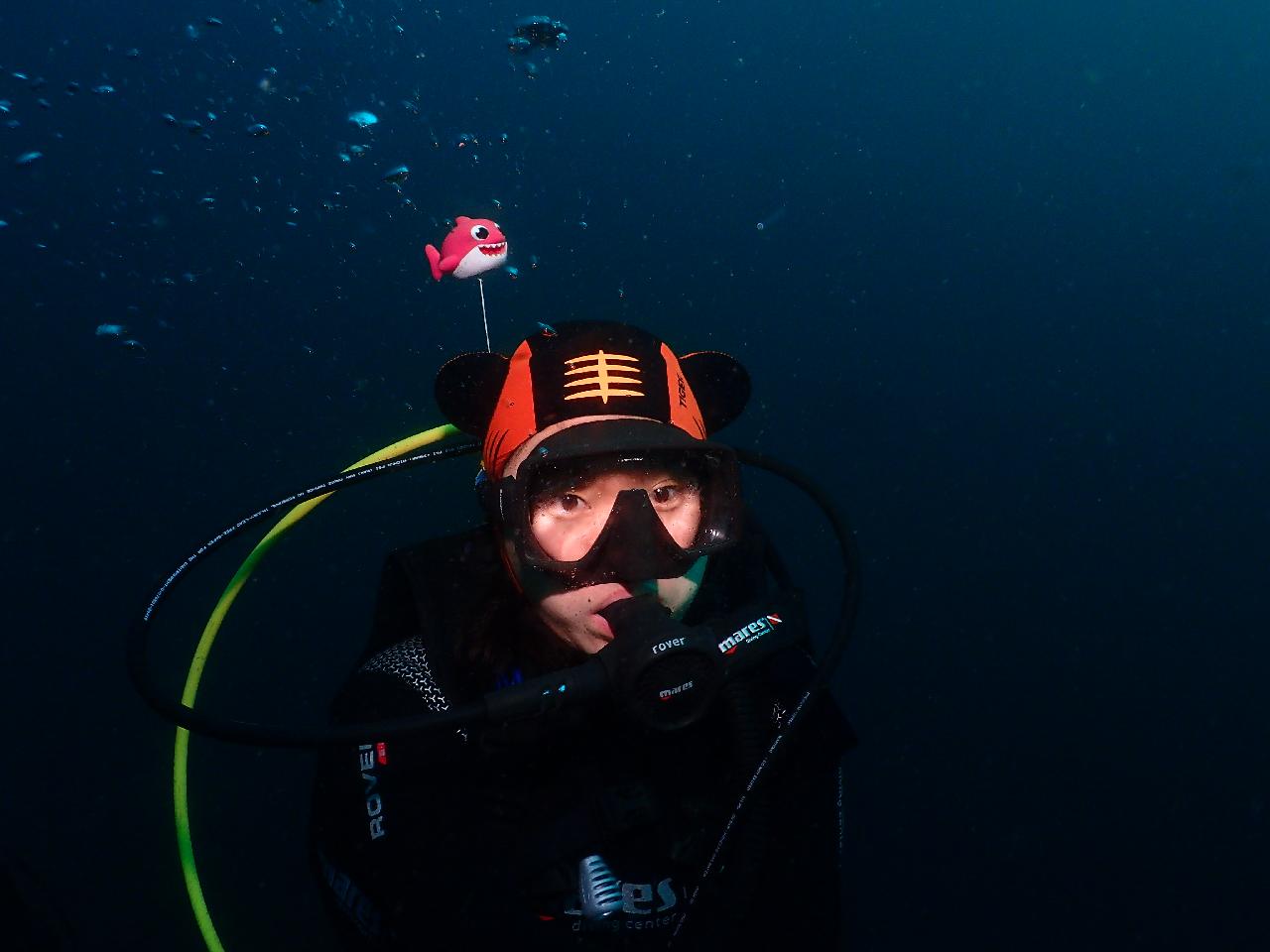 스쿠버 다이빙 교육 및 펀다이빙 참여하신 분께 1단계 부력인형 악세사리를 드립니다.
