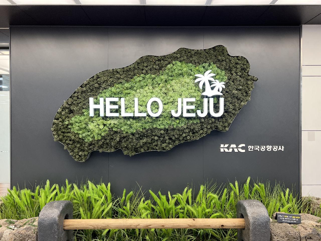 제주도 왔어요.