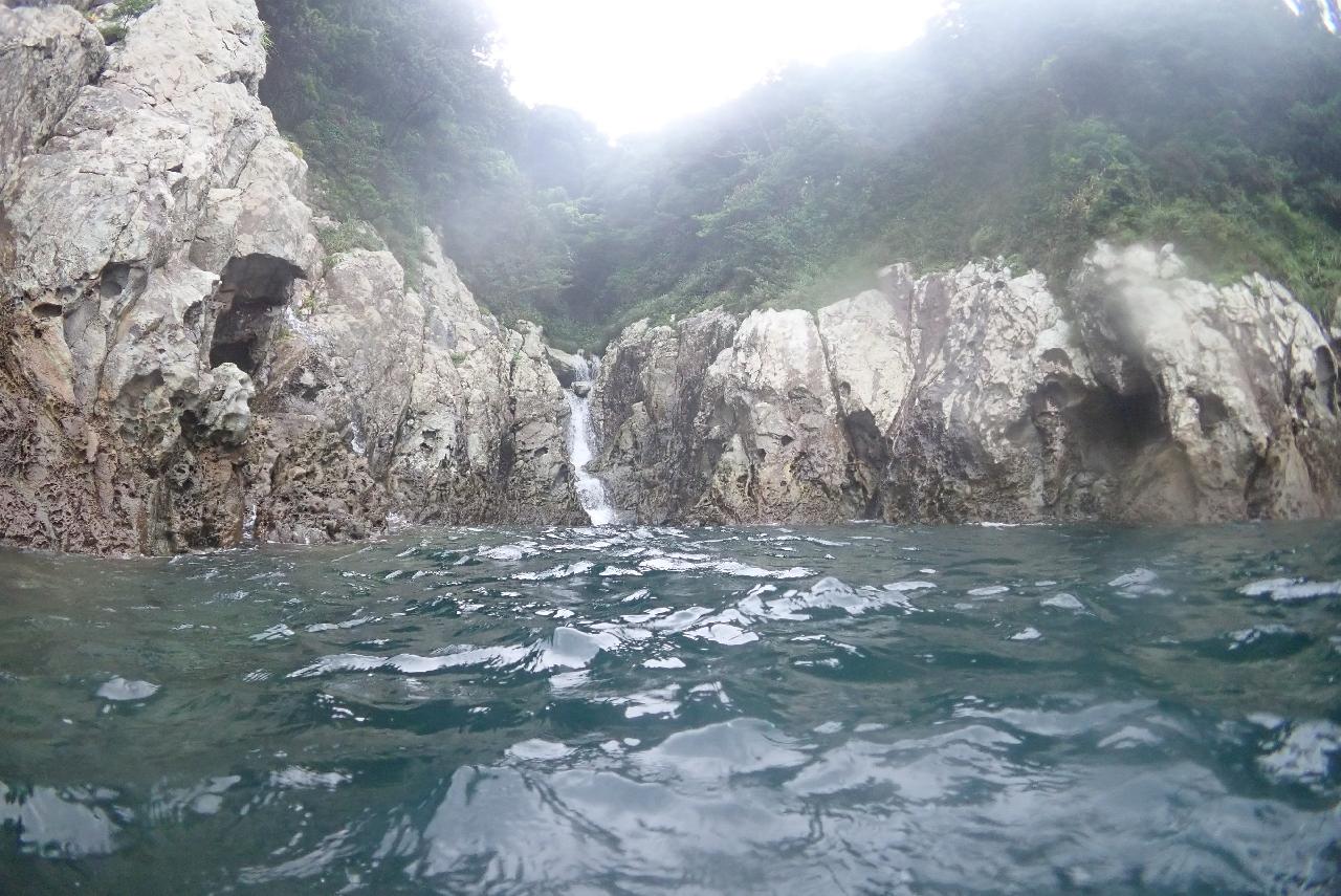 서귀포 섶섬 작은 한개창에서 크라켄(문어)과 조우