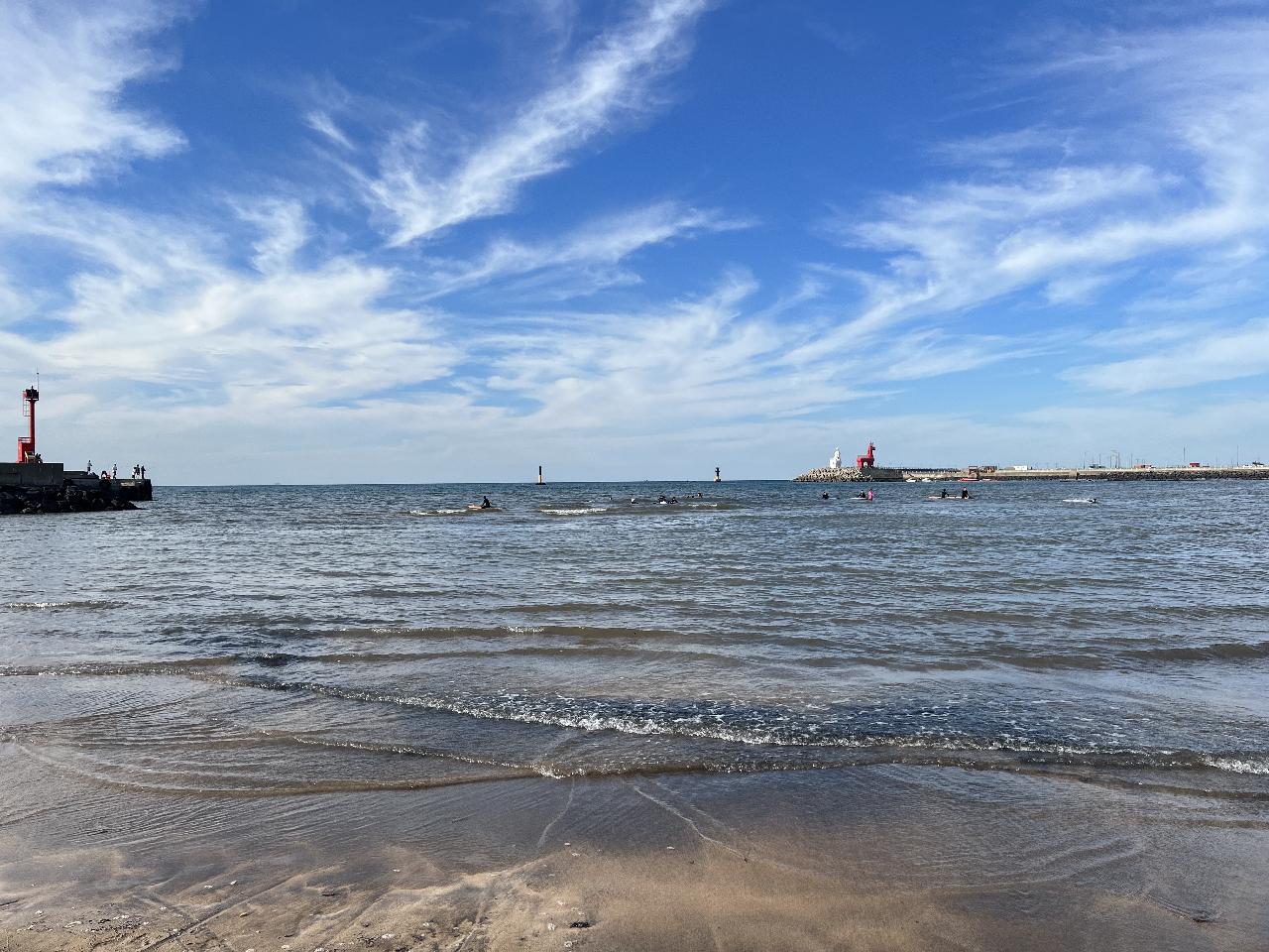 제주도로 피신왔어요
