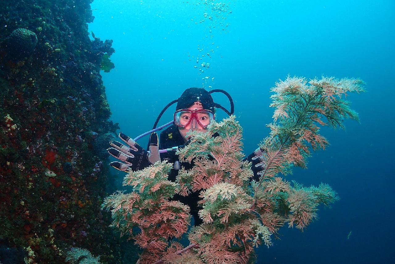 日本からダイブマップ(DIVEMAP)に来たマキさんと済州島の海を探検しました。