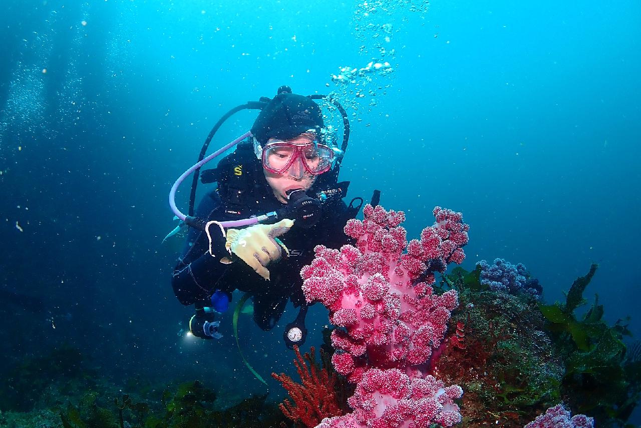 日本からダイブマップ(DIVEMAP)に来たマキさんと済州島の海を探検しました。