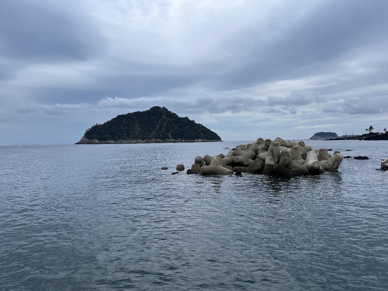 해양생물 조사 참여