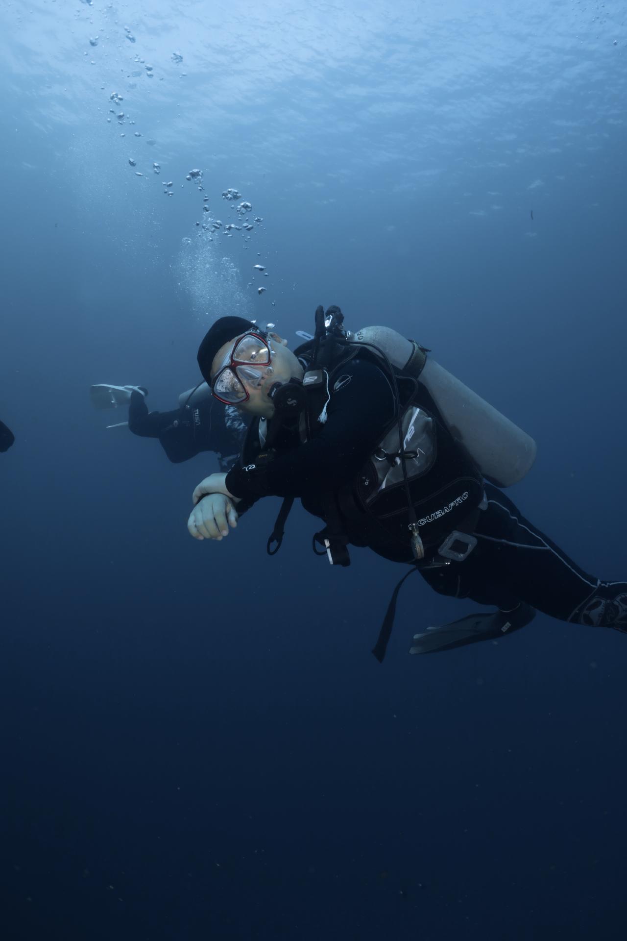 세부 마지막날 마지막 다이빙