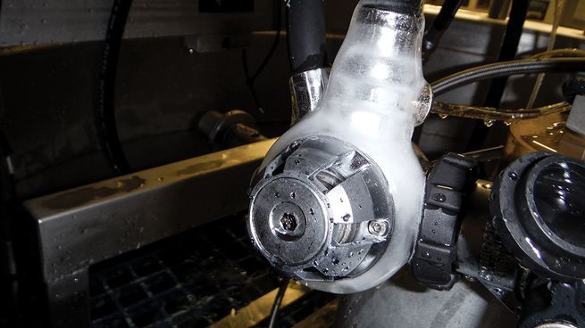 추운 곳에 사는 물고기는 왜 얼지 않을까?