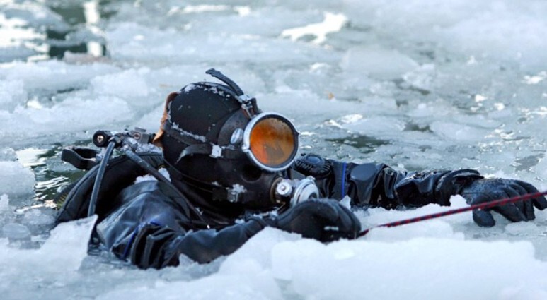 추운 곳에 사는 물고기는 왜 얼지 않을까?