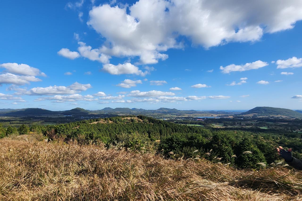 서귀포 표선에 위치한 