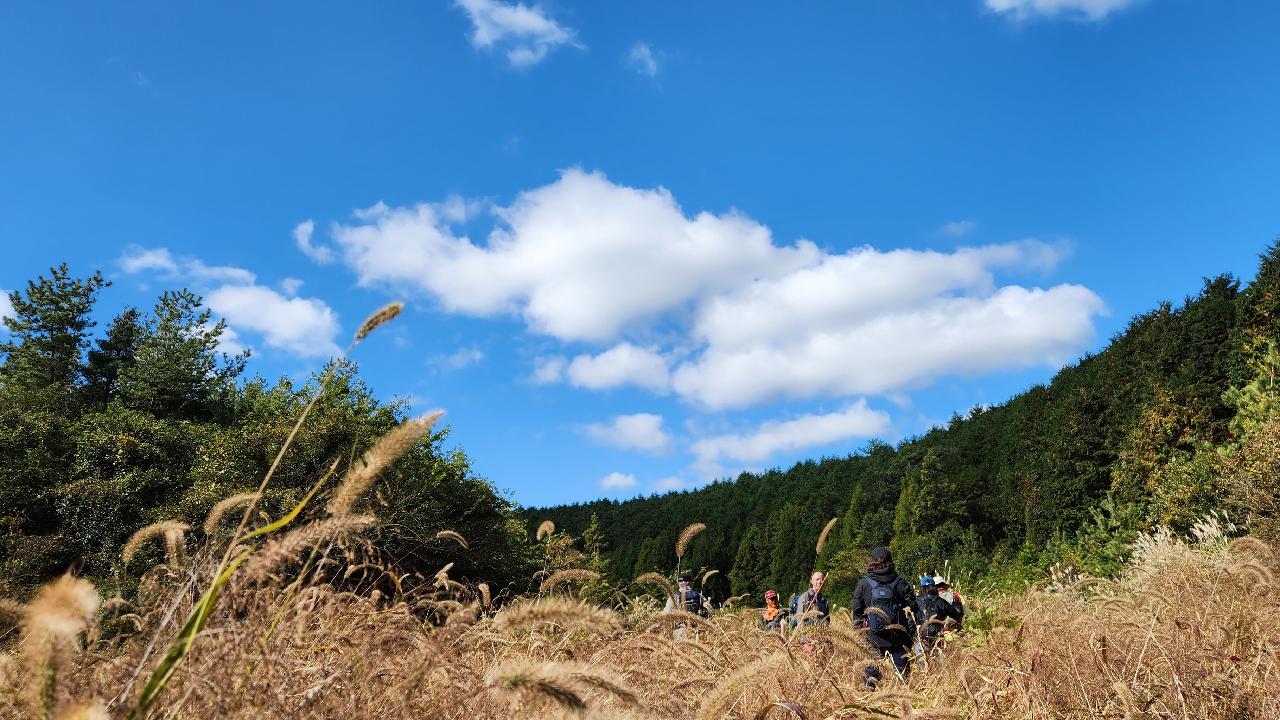 서귀포 표선에 위치한 