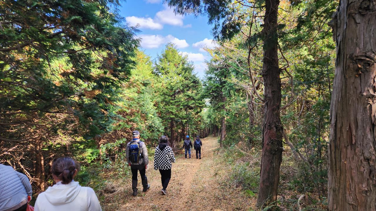 서귀포 표선에 위치한 