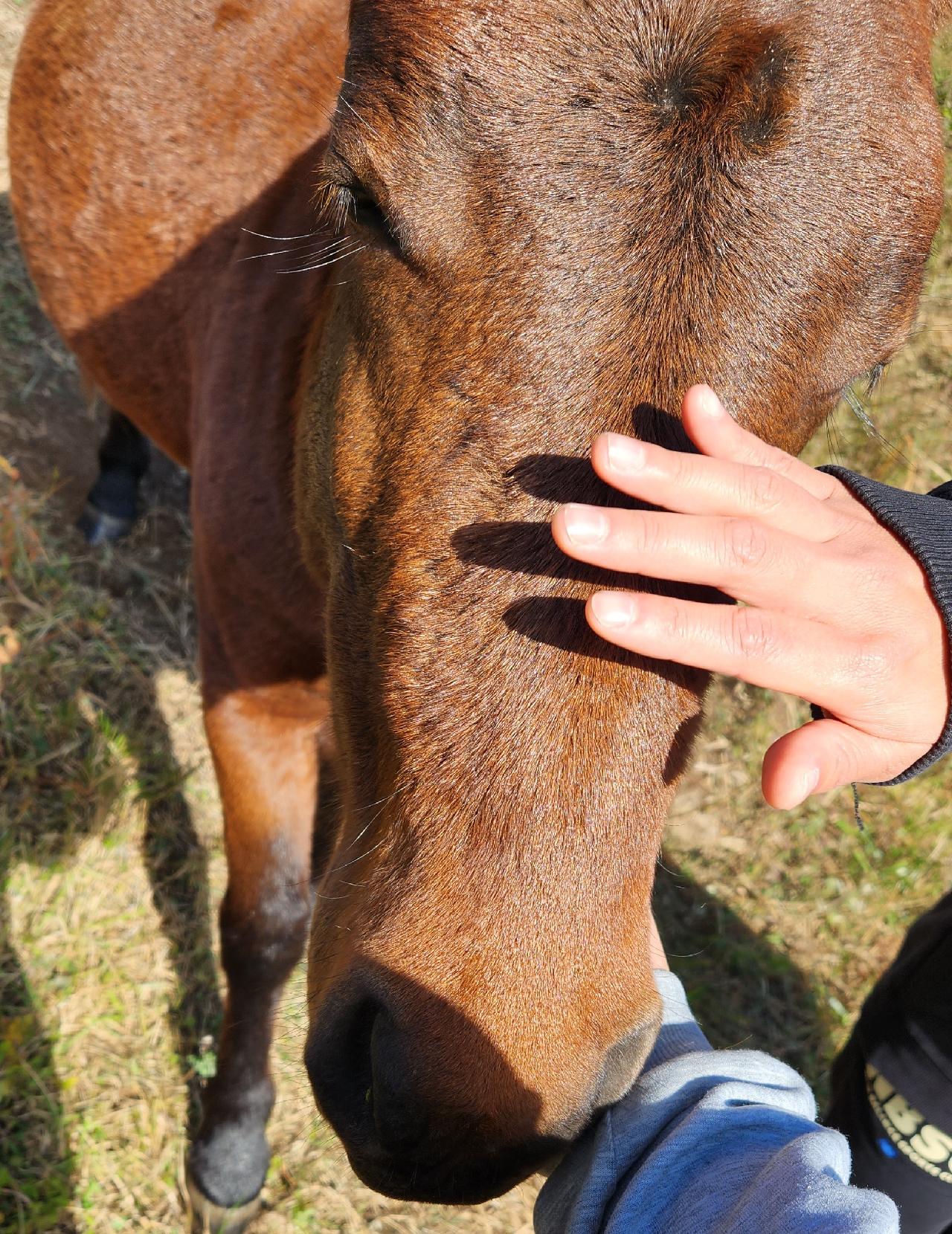 서귀포 표선에 위치한 