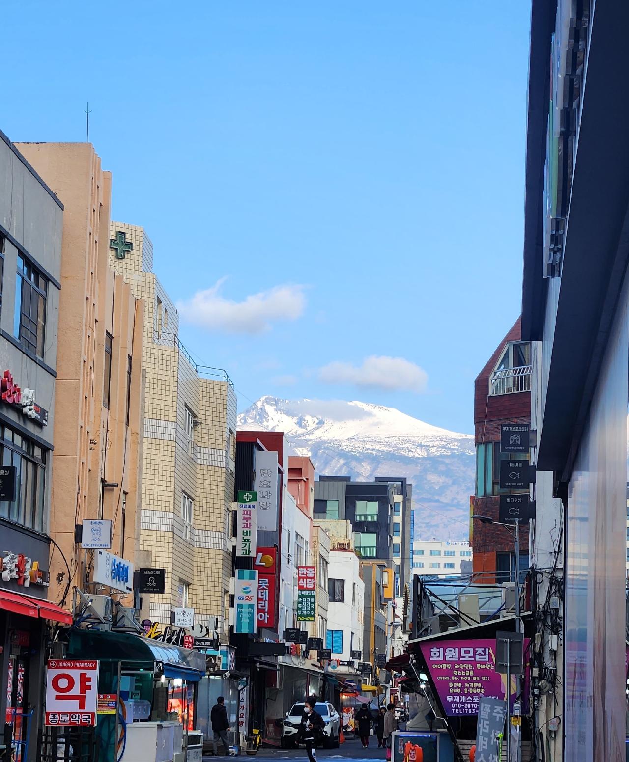 다시 한번 한라산 사진입니다.