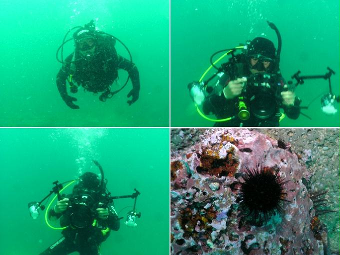 펀다이빙 - 경북 포항 블루오션 리조트 - 긴가민가?