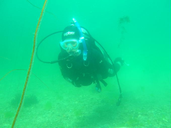 오픈워터 교육 - 교암리조트 - 교암리조트 항구