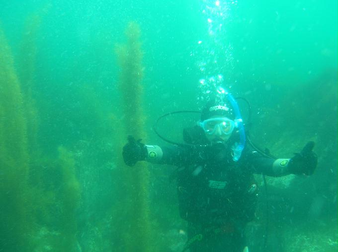 오픈워터 교육 - 교암리조트 - 교암리조트 항구