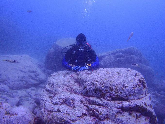 부산 나무섬 - 아부나이