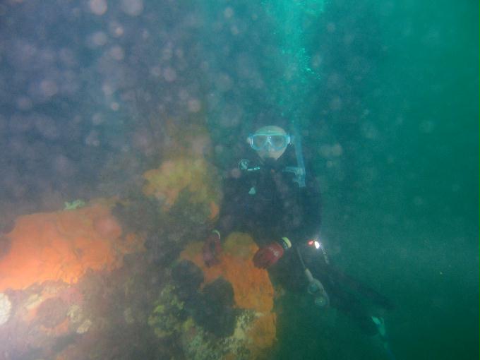 오픈워터와의 수중 유영 - 강원도 강릉시 사천면 사천진리 - 인공 삼각어초