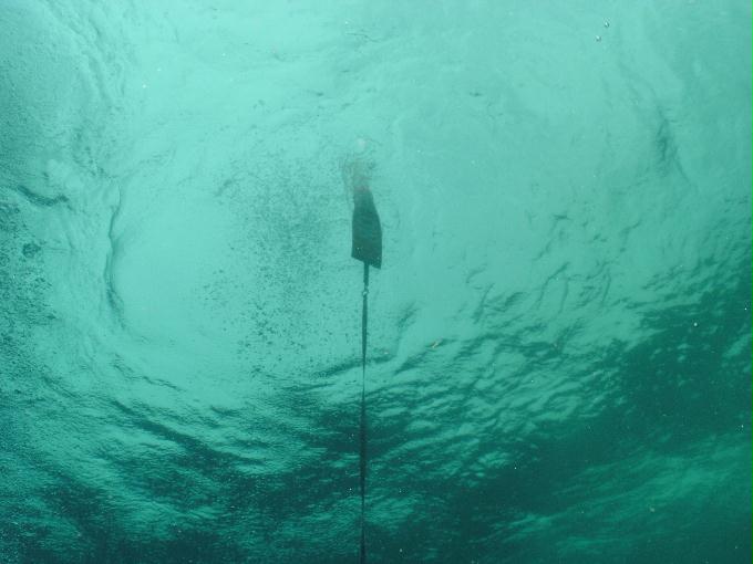 펀다이빙 - 필리핀 세부 모알보알 준다이브리조트 - 탈리사이(TALISAY)