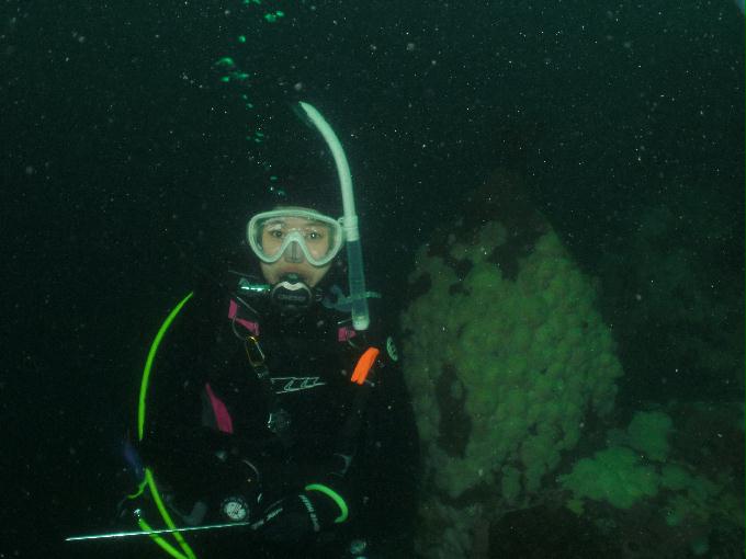 펀다이빙 - 강원도 고성 LF문암리조트 - 마이산