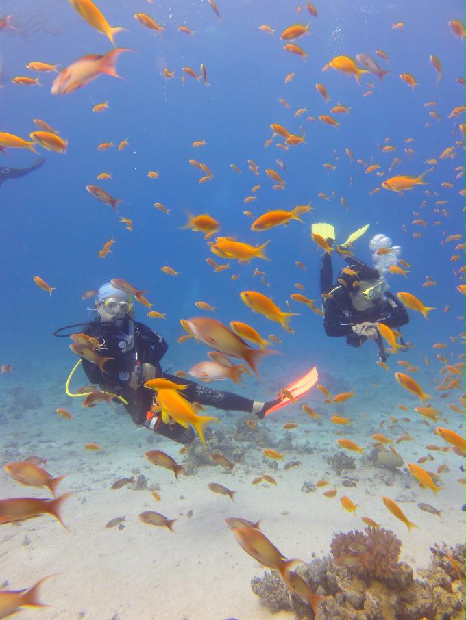 펀다이빙 - Hurghada, Egypt - South Abu Ramada
