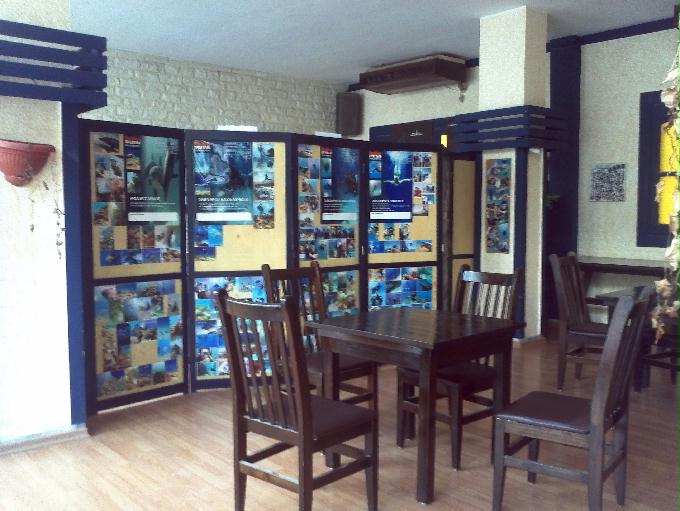 펀 다이빙 - Hurghada, Egypt - Fanaus East