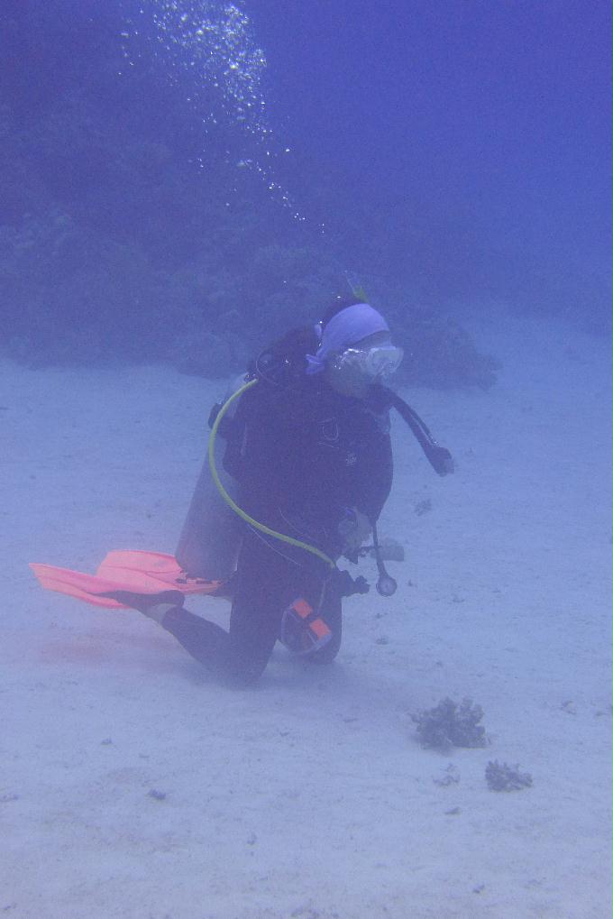 펀다이빙 - Hurghada, Egypt - South Abu Ramada