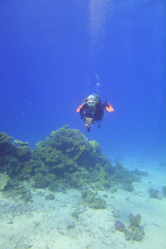 펀 다이빙 - Hurghada, Egypt - Turft el Shahed